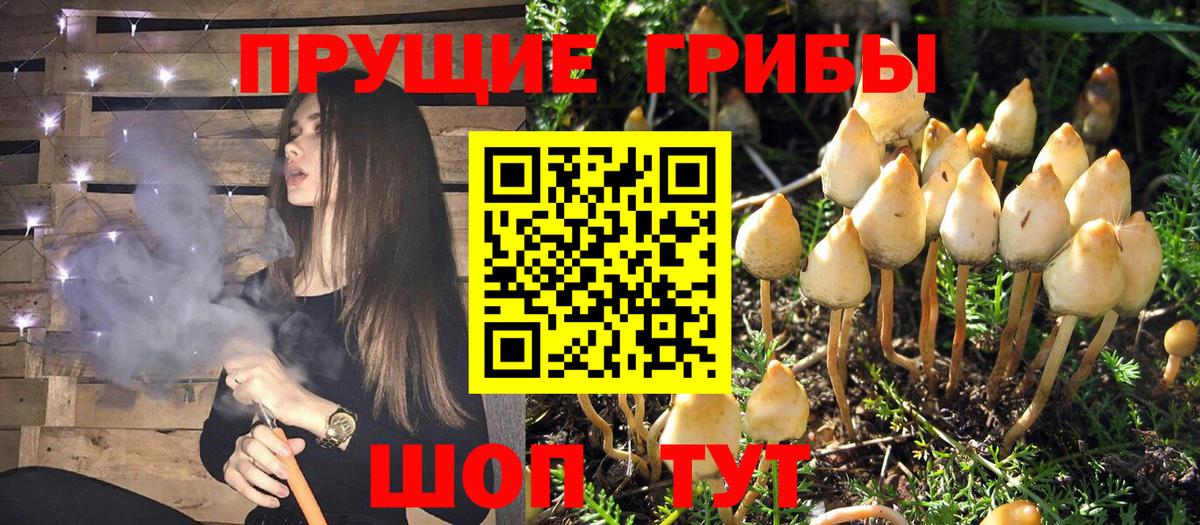 Галлюциногенные грибы прущие грибы Нягань